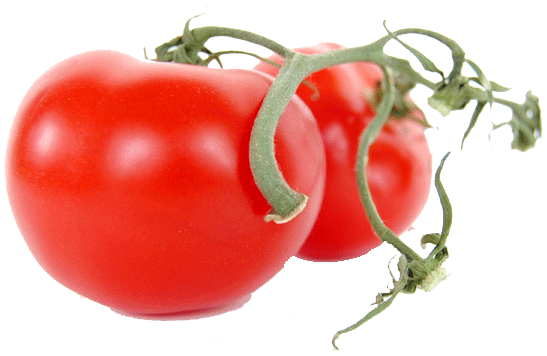 Suntastic  tomatoes on vine per pound Full-Size Picture